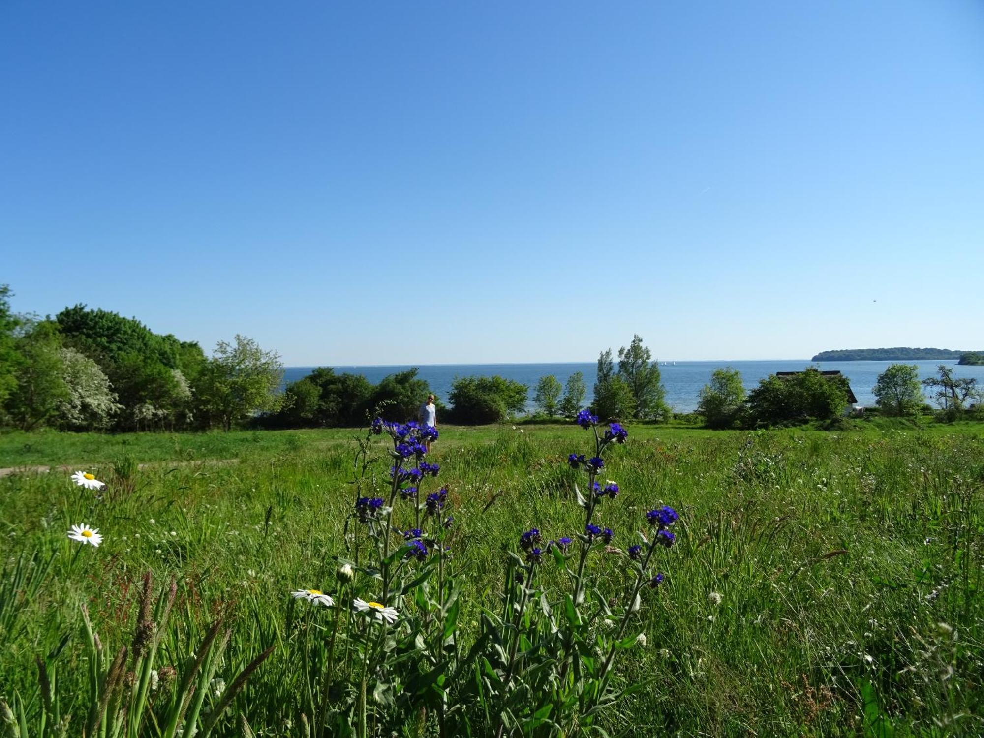 Appartement Werft & Meer Lauterbach  Εξωτερικό φωτογραφία